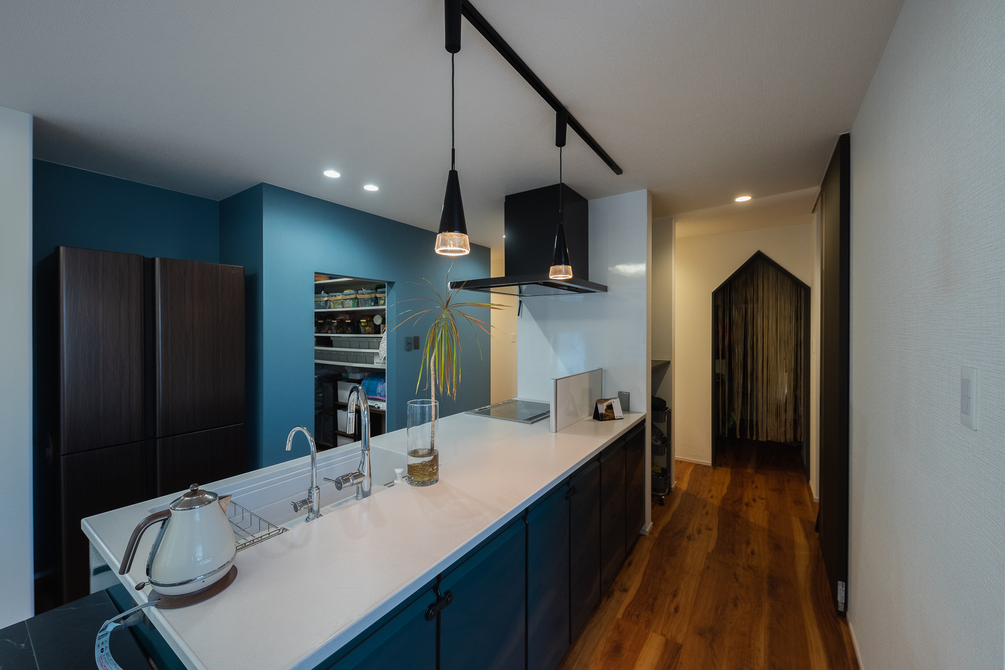 スタイリッシュモダン勾配天井片流れの平屋