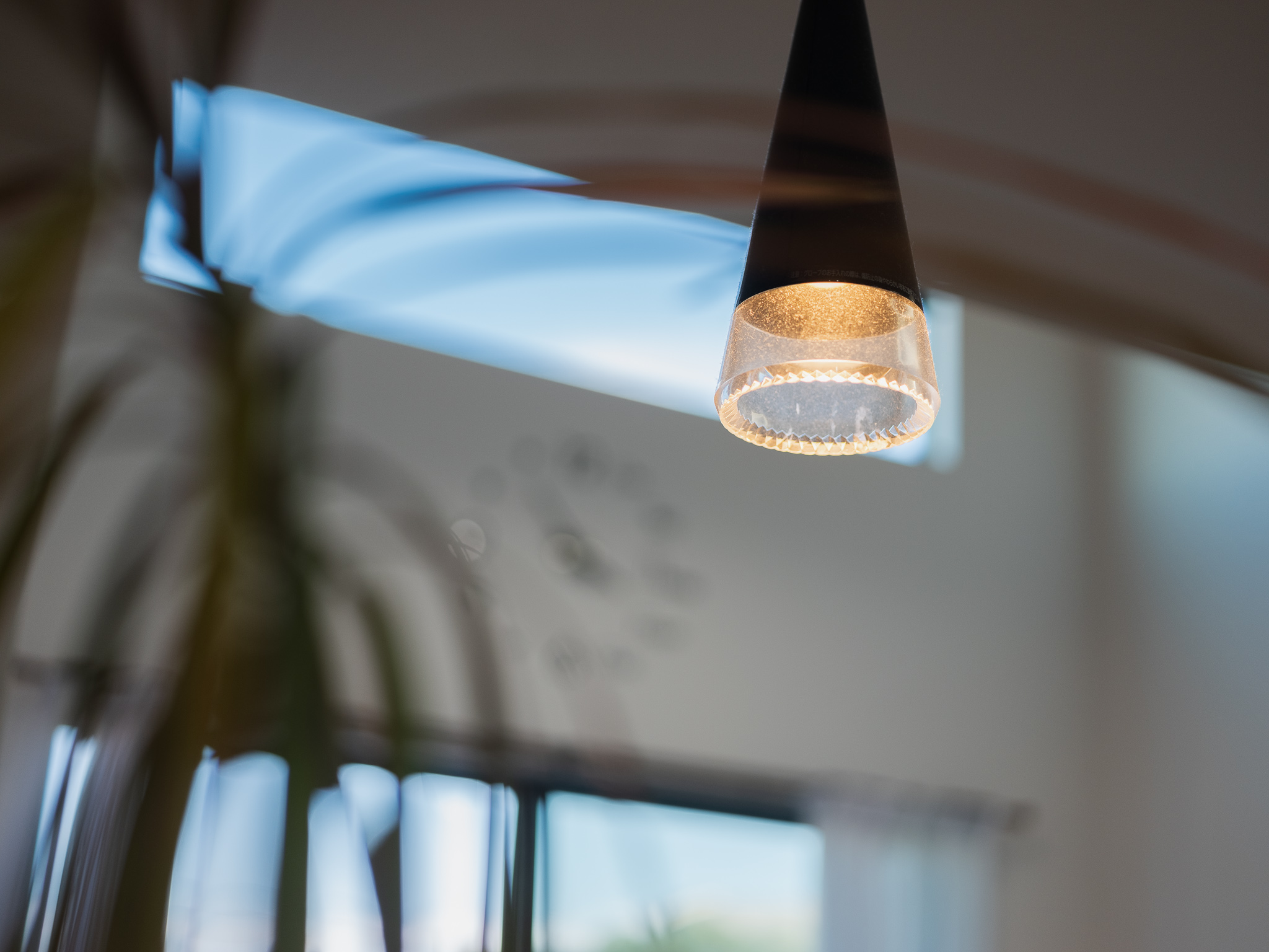 スタイリッシュモダン勾配天井片流れの平屋