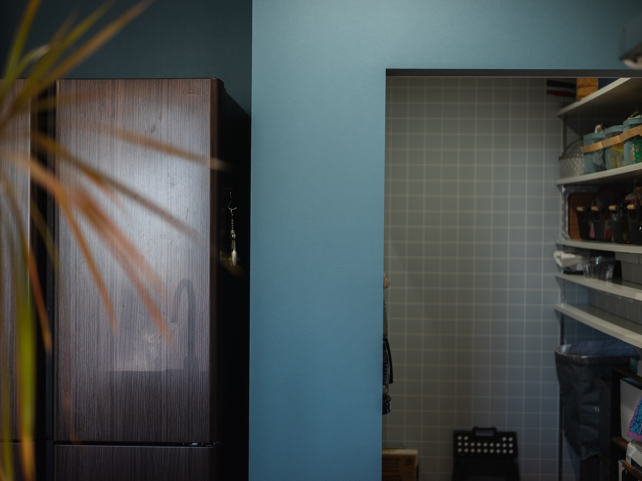 スタイリッシュモダン勾配天井片流れの平屋