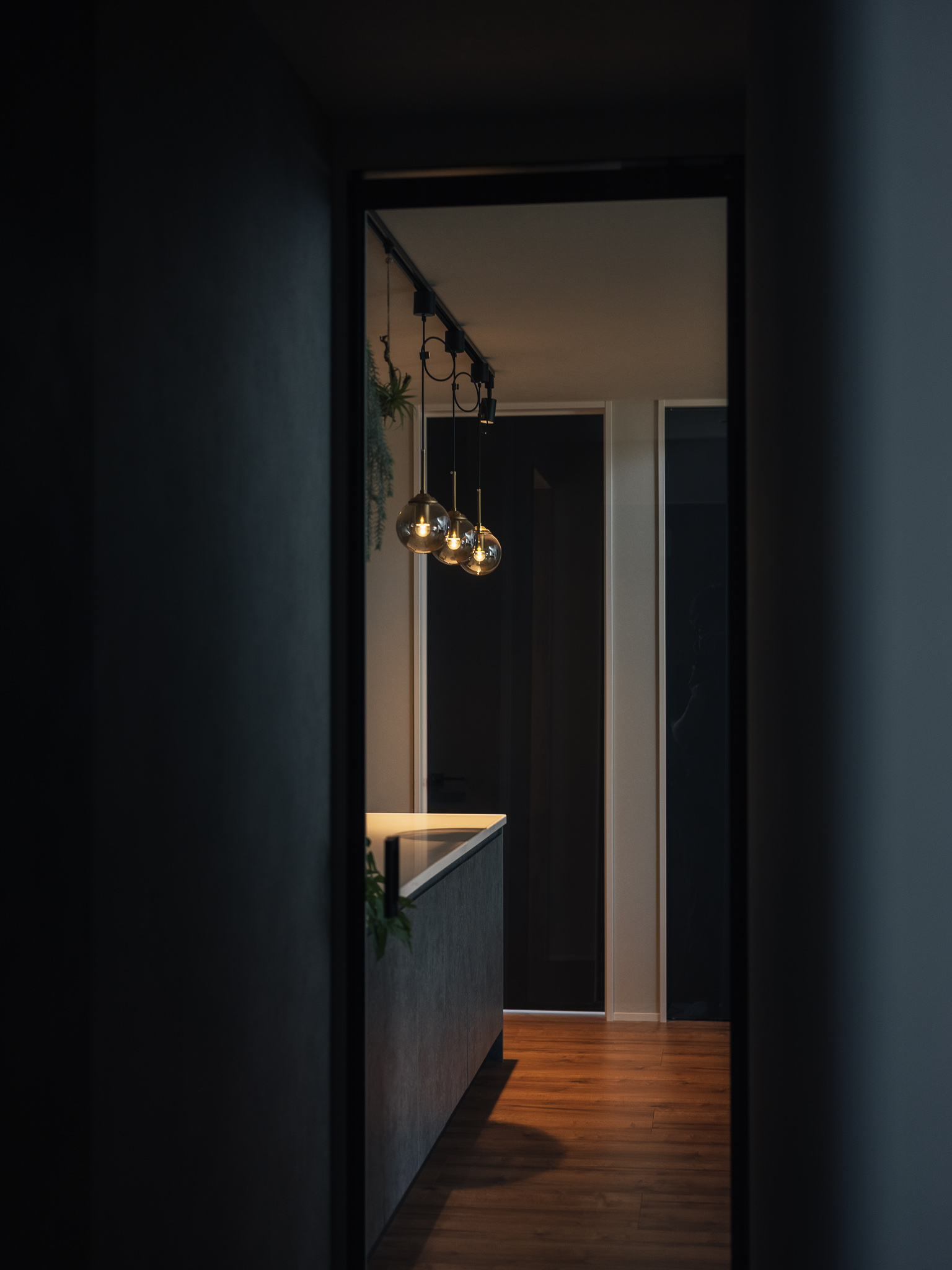 家具・収納・外構、全てが繋がる美しい中庭のある平屋