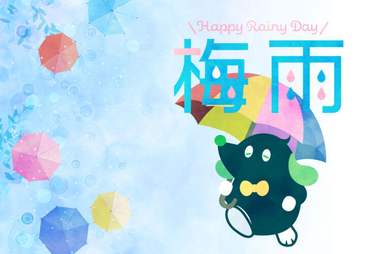 ☔️梅雨入りしました｜2025年の梅雨シーズン到来！