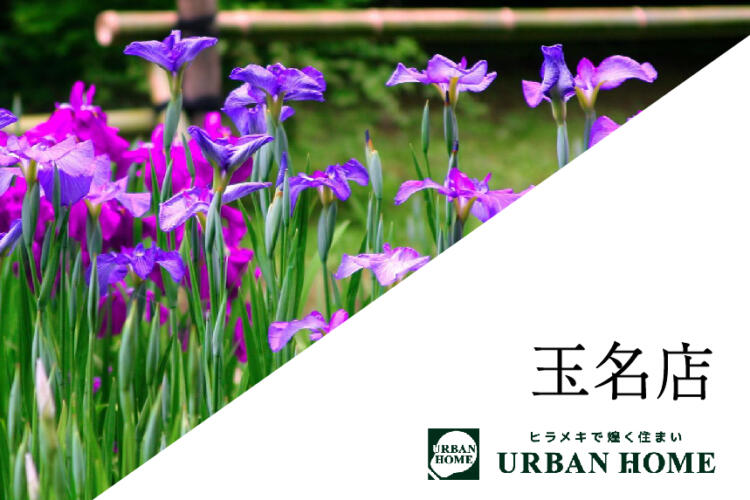 【初詣】太宰府天満宮へ参拝！福太郎の「めんたい焼きおにぎり」と屋台グルメで食べ歩き
